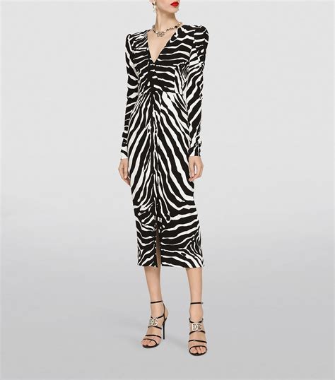 Shop DOLCE&GABBANA Zebra